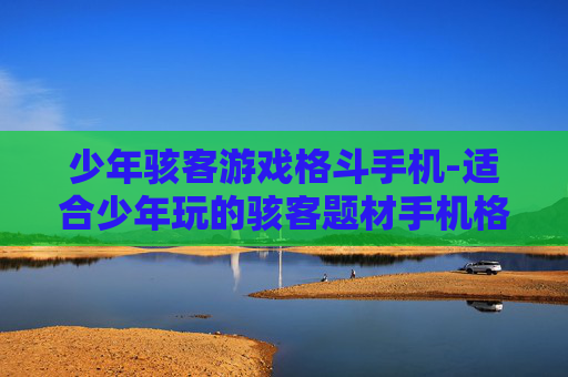 少年骇客游戏格斗手机-适合少年玩的骇客题材手机格斗游戏