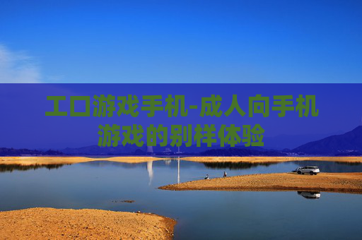 工口游戏手机-成人向手机游戏的别样体验