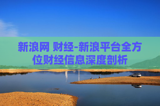 新浪网 财经-新浪平台全方位财经信息深度剖析