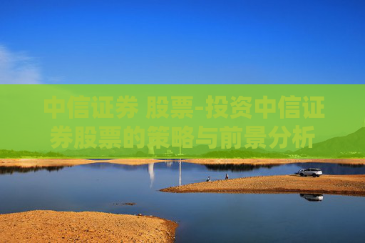 中信证券 股票-投资中信证券股票的策略与前景分析