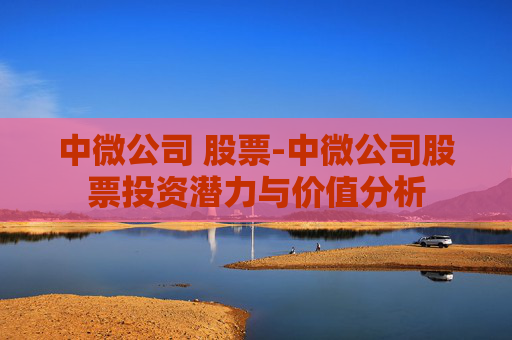 中微公司 股票-中微公司股票投资潜力与价值分析