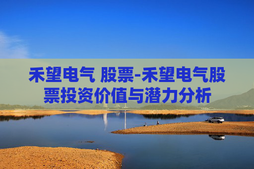 禾望电气 股票-禾望电气股票投资价值与潜力分析