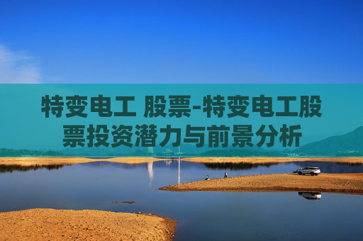 特变电工 股票-特变电工股票投资潜力与前景分析