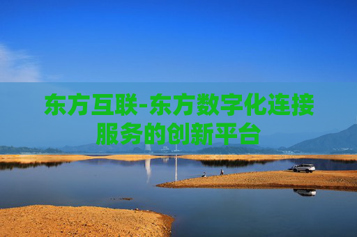 东方互联-东方数字化连接服务的创新平台