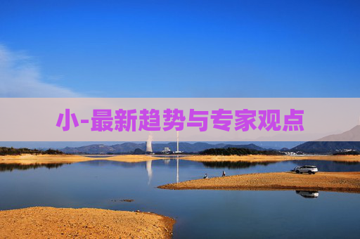 小-最新趋势与专家观点