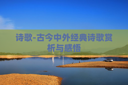 诗歌-古今中外经典诗歌赏析与感悟