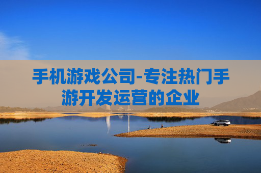 手机游戏公司-专注热门手游开发运营的企业