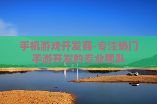 手机游戏开发商-专注热门手游开发的专业团队