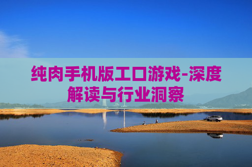 纯肉手机版工口游戏-深度解读与行业洞察